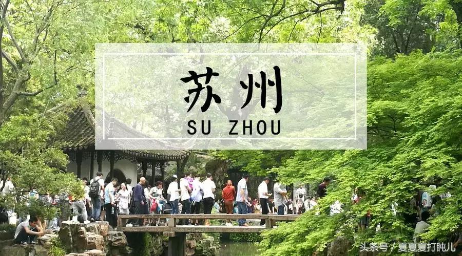 一只狗的旅游记,一只狗去洛阳旅游