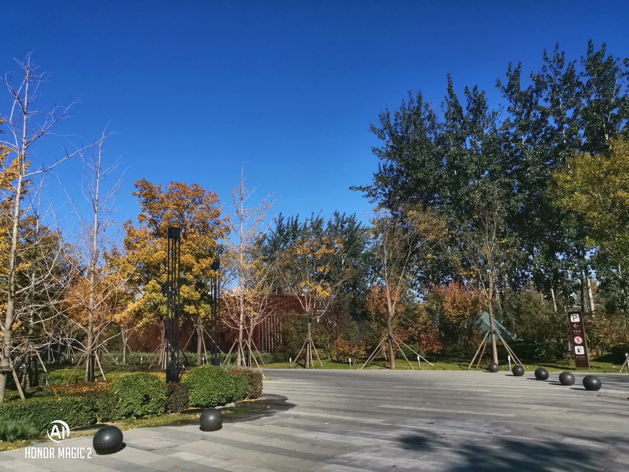 2020年荣耀magic2深度评测,暴力评测荣耀magic2