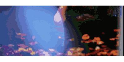 在武汉的几十块钱泡温泉网红景点,温泉泡池网红地点