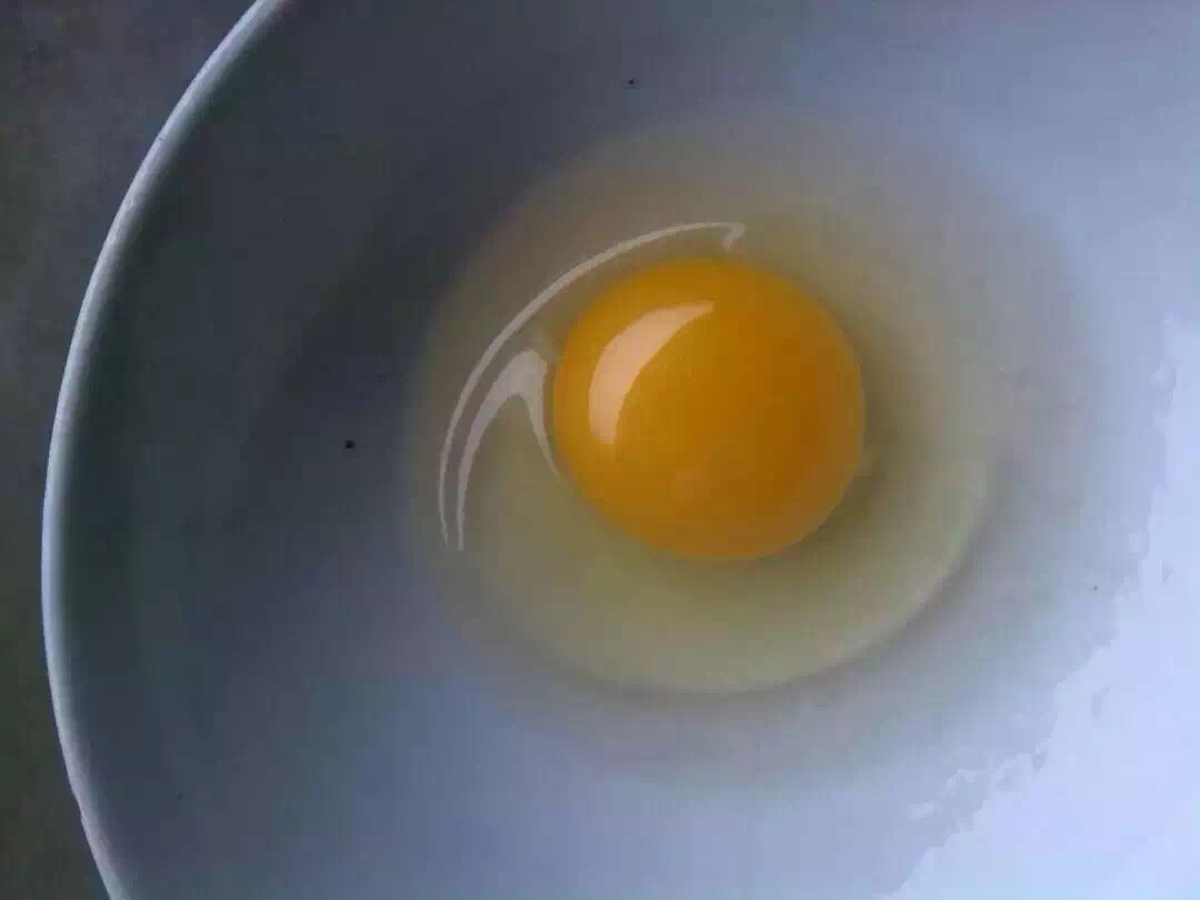 农村土鸡养殖现状及前景如何呢,农村土鸡养多久才好吃