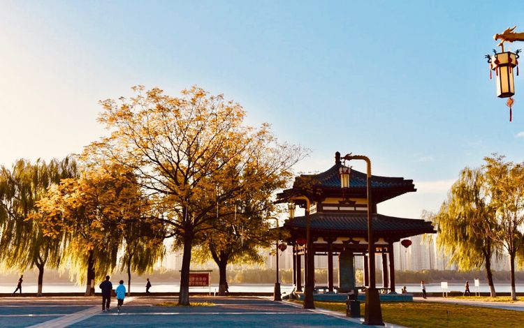 秋到上阳宫，黄叶蓝天高宫阙，皇帝都赞的美景，免费你都没去看？