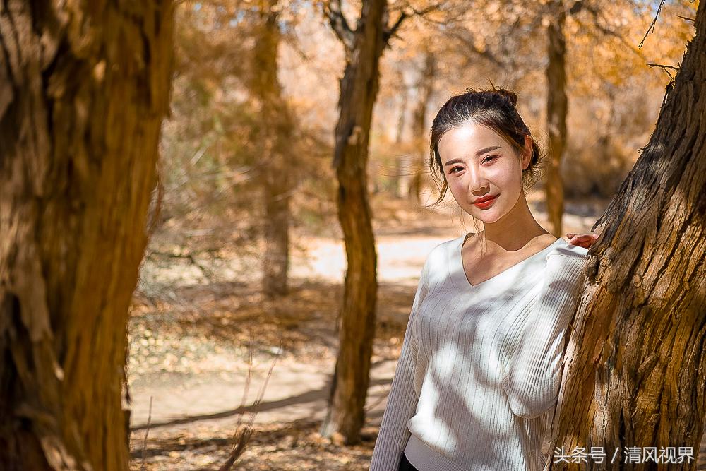 三千年守候额济纳完整版,大美金塔胡杨林