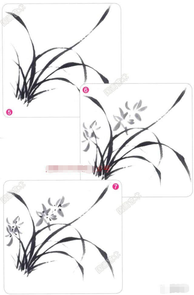 兰花国画写意画法初学者教程,国画教程写意兰花示范讲解