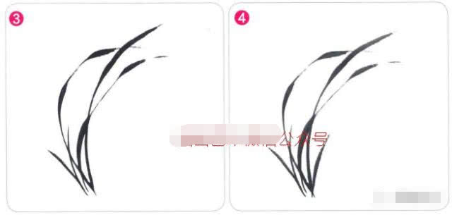 兰花国画写意画法初学者教程,国画教程写意兰花示范讲解