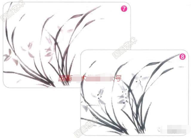 写意兰花的基本画法视频,写意兰花的画法技法视频
