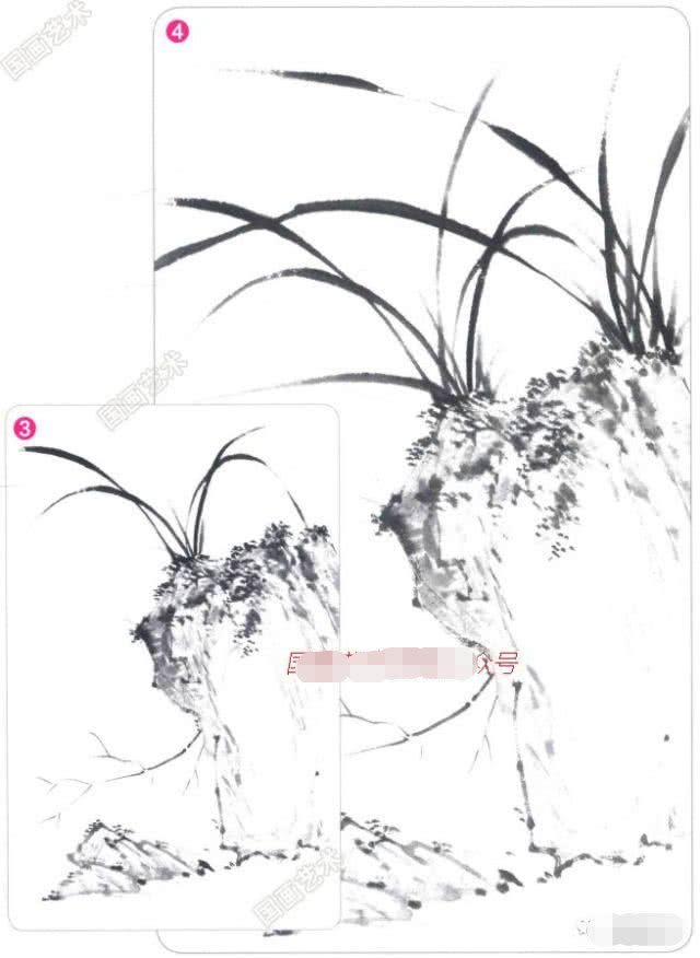 写意兰花的基本画法视频,写意兰花的画法技法视频