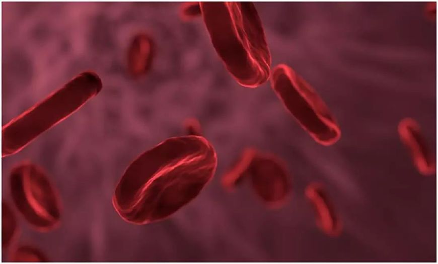 尿频容易得什么病,尿频便秘是什么意思