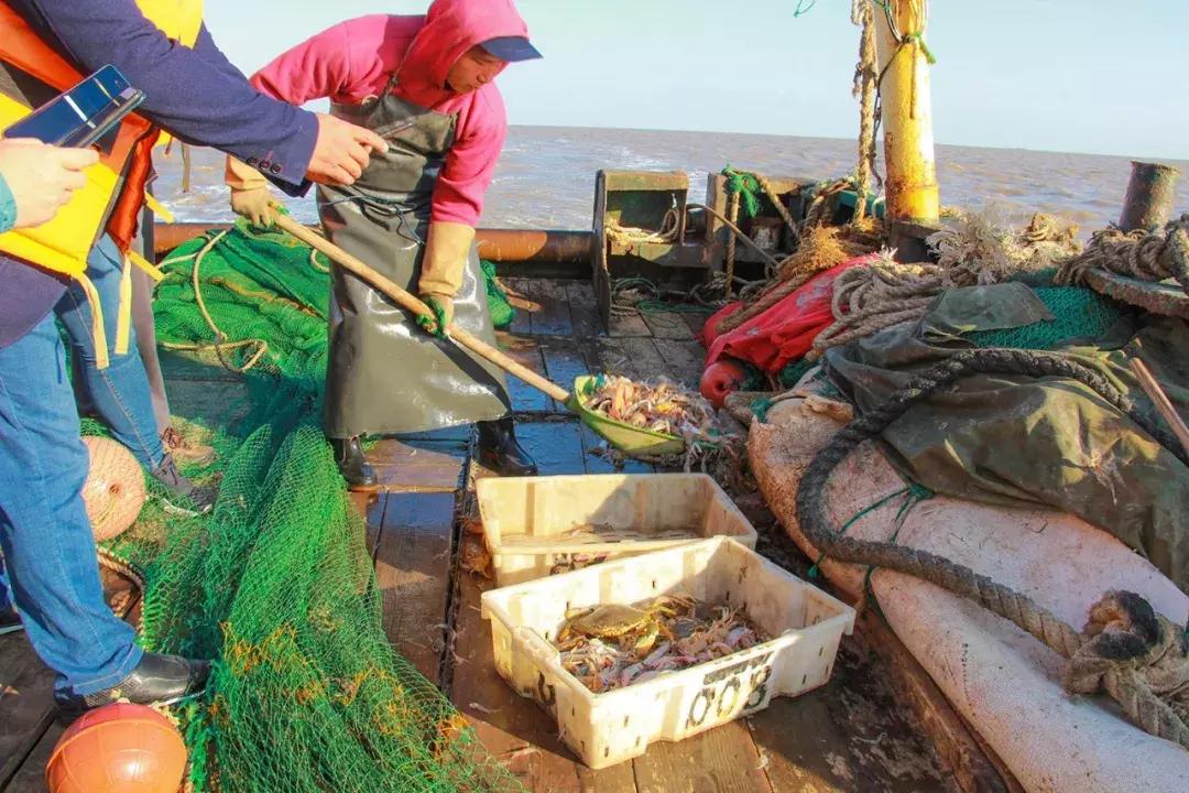 娴欐睙鍙板窞瀹濊棌鐢峰,鍙板窞瀹濊棌鐢风敓