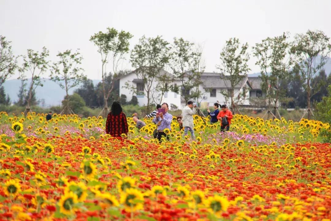 娴欐睙鍙板窞瀹濊棌鐢峰,鍙板窞瀹濊棌鐢风敓