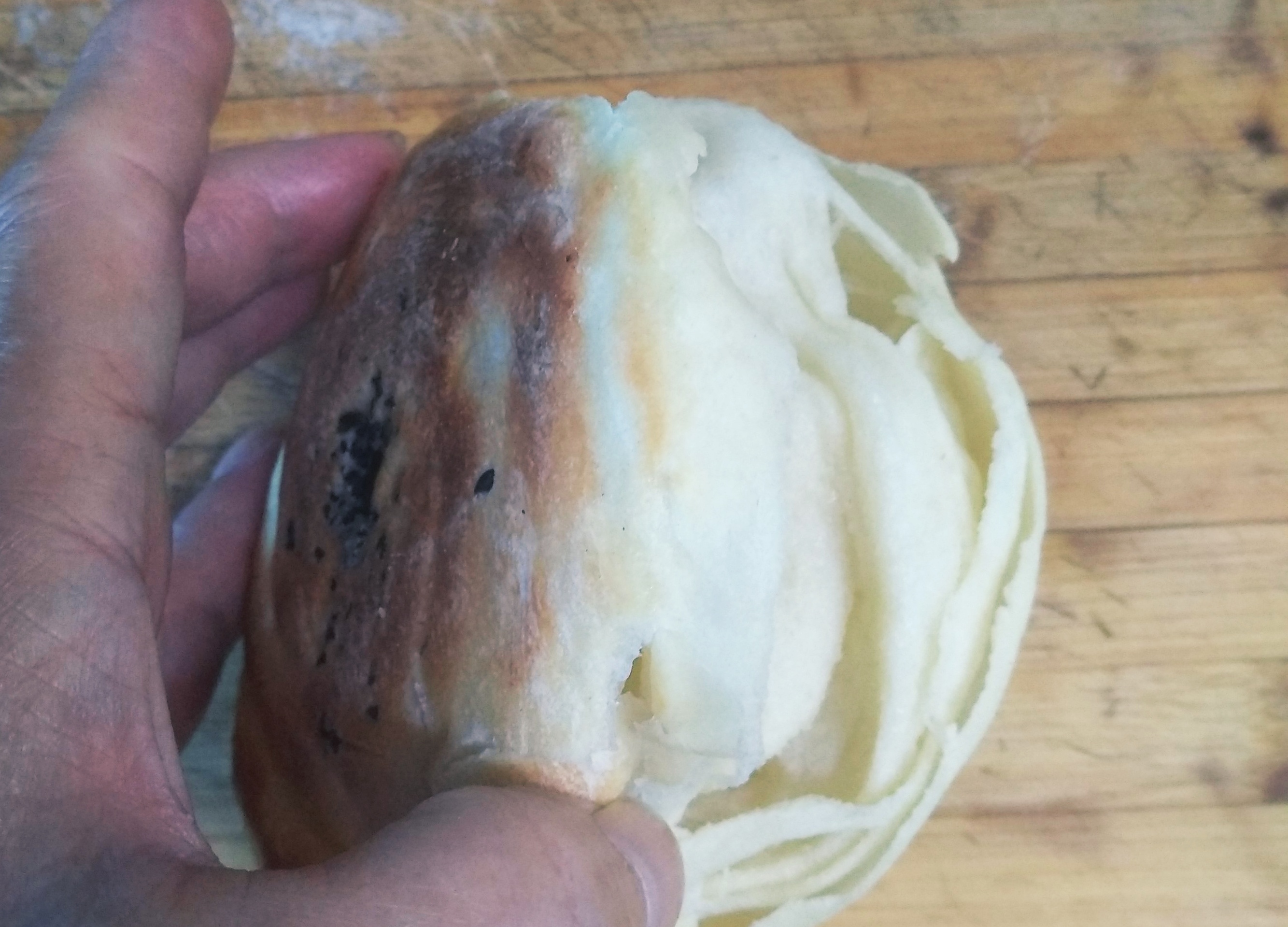 包子馒头蒸出来底部发硬,包子馒头蒸好后怎么保持松软