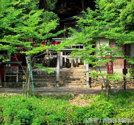 90后想要的太多,90后最需要什么