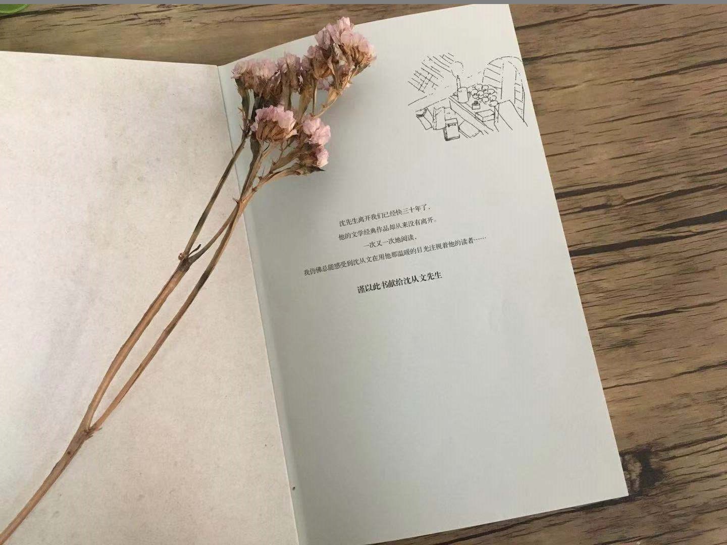 从文家书后记,从文家书全文