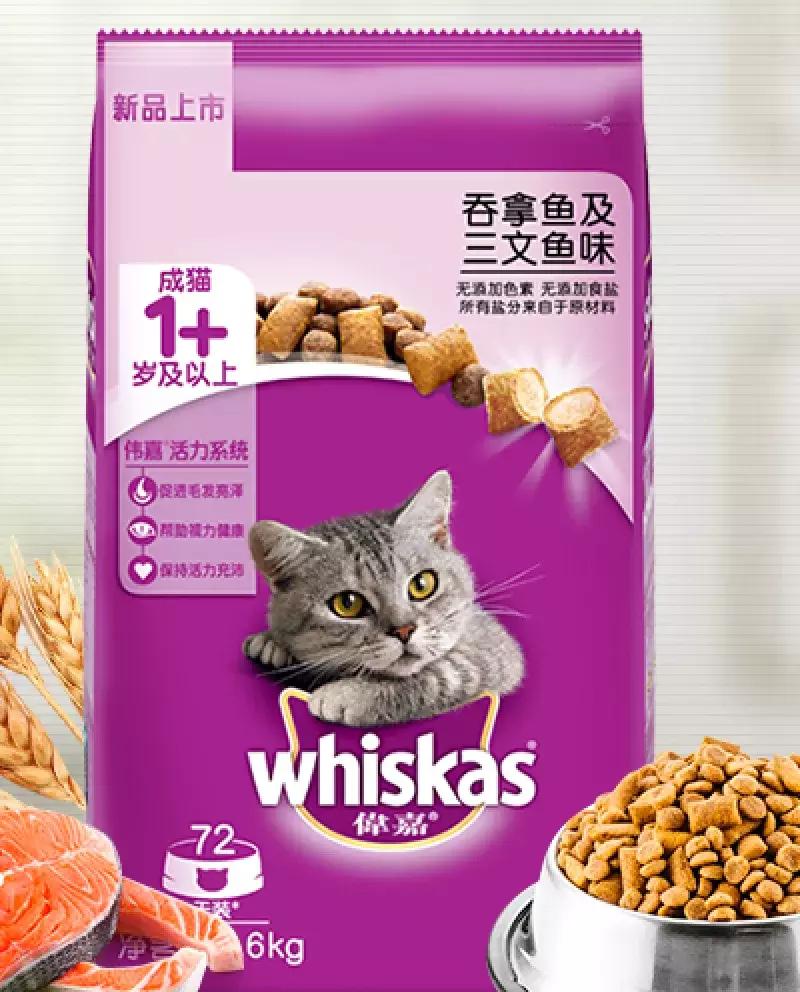 猫粮有关猫咪的健康可不能随便选 (猫咪生病吃哪种湿猫粮)