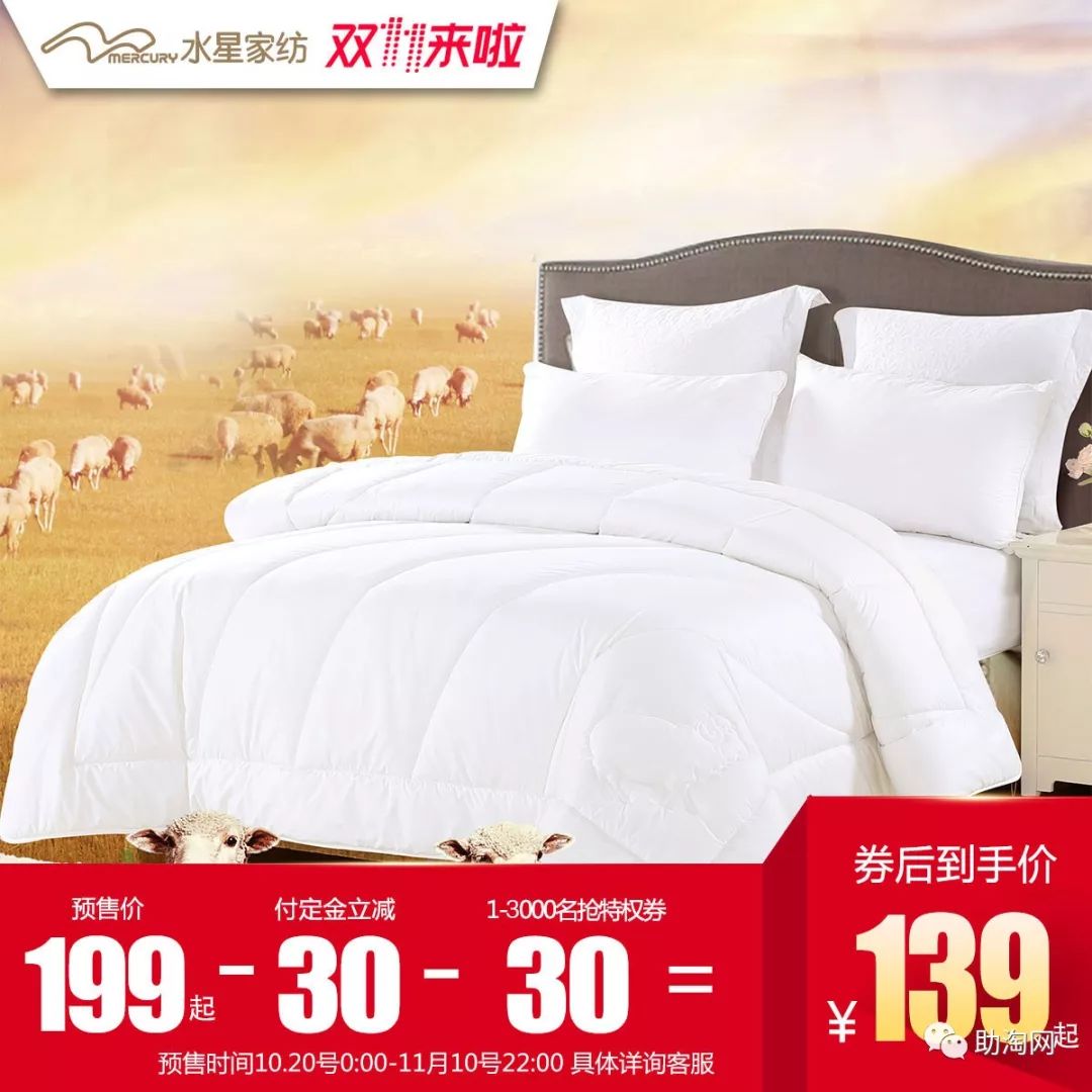 预售商品,双十一当天专享券!