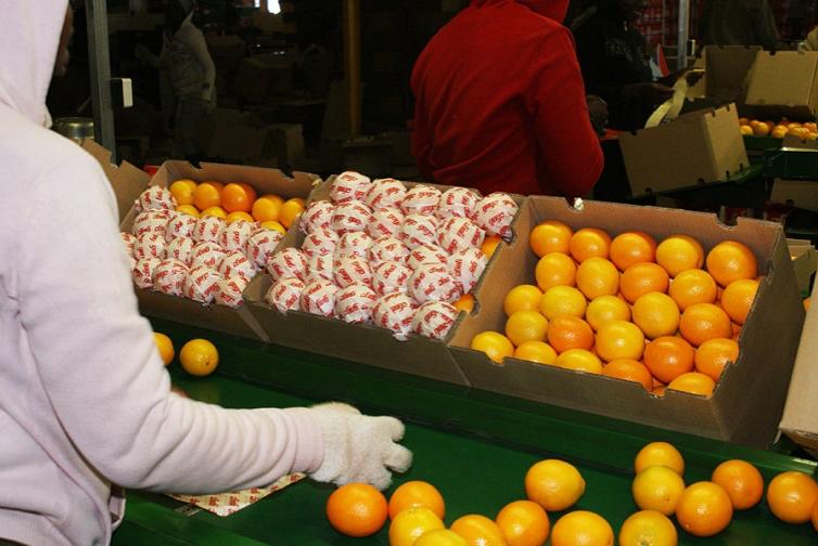 遍布世界的“购物车”，看苏宁海外“买手”们如何买遍全球好物