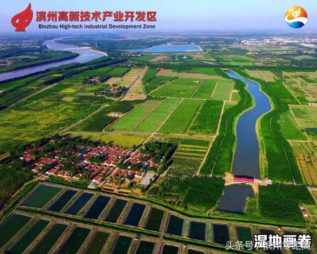 滨州森林村居,滨州森林小镇有哪些