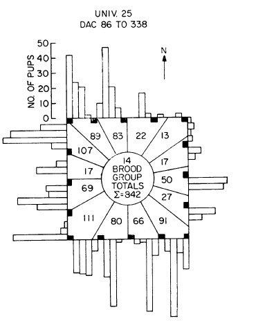 一场预言人类灭亡的老鼠实验,一场实验暴露人性