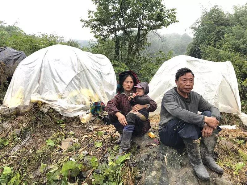 新鲜龙须笋的家常做法,龙须笋的正确食用方法