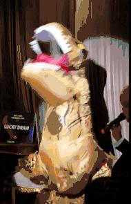 SM公司养的那群好看的蛇精病,又出来搞事情了