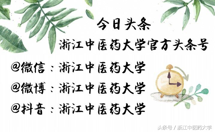 医者匠心图片,医者匠心中医