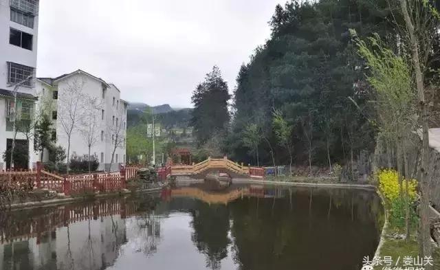 贵州医养结合型养老院,贵州放心的养老机构