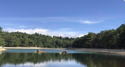 收好这份云南最新5a景区名单,云南的5a级景区有哪些