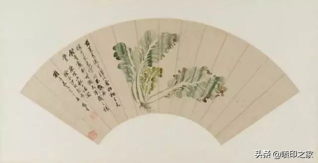 印刷常用纸张图片大全,印刷画册一般常用的是什么纸张