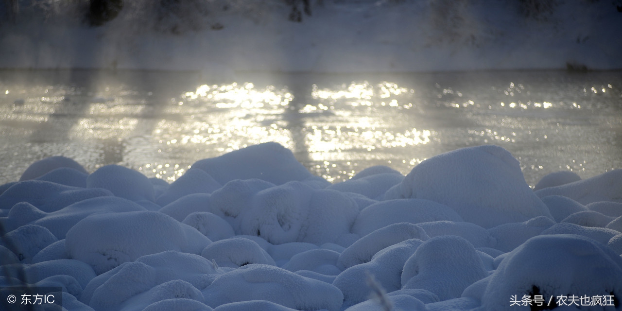 三九四九冻死猪狗顺口溜什么意思,三九四九冻死猪狗顺口溜