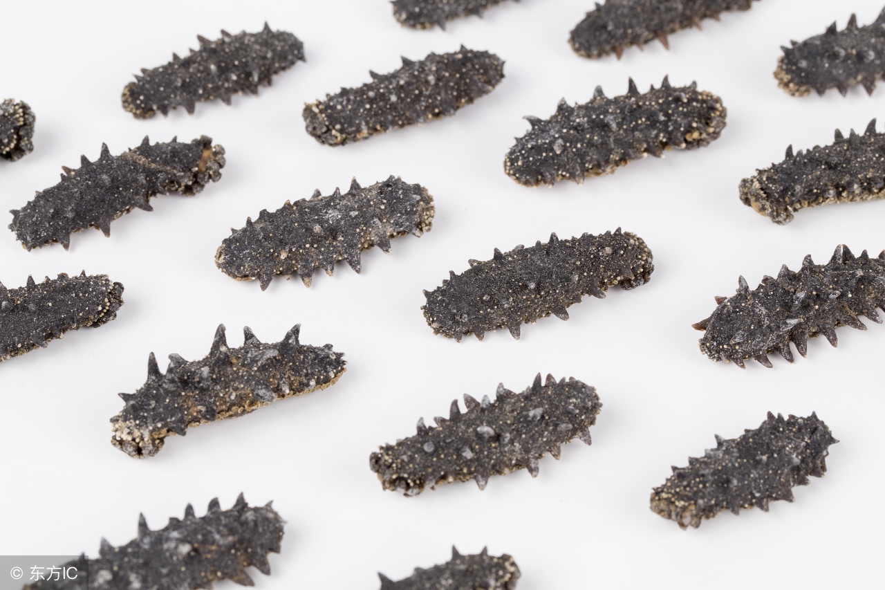 怎样挑选海参才最好,怎样挑选海参最好