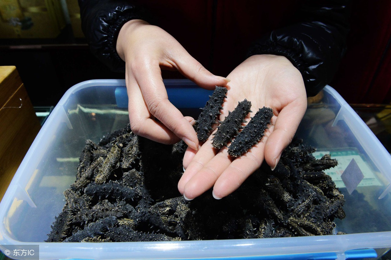 怎样挑选海参干货视频,市面上怎么挑海参