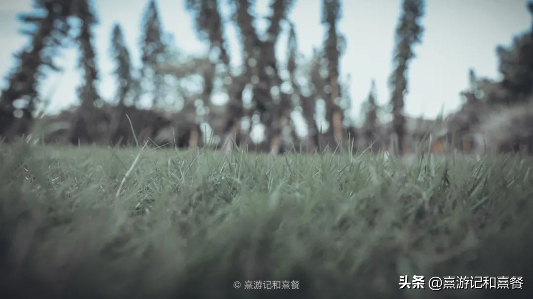 去厦门必须体验的六件事,送给第一次去厦门的五点建议