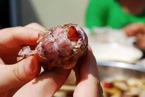 海边人教你皮皮虾的正宗吃法如何,这个季节皮皮虾非常鲜美
