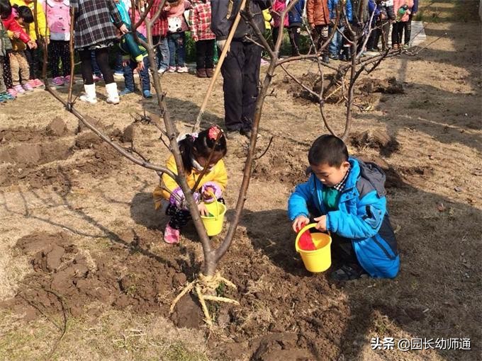 植树节幼儿园方案,幼儿园植树节活动策划方案