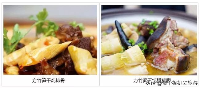 贵州省桐梓县马鬃乡竹笋,桐梓新鲜方竹笋基地