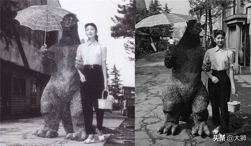 怪兽哥斯拉进化史,怪兽之王哥斯拉是怎么进化而来的