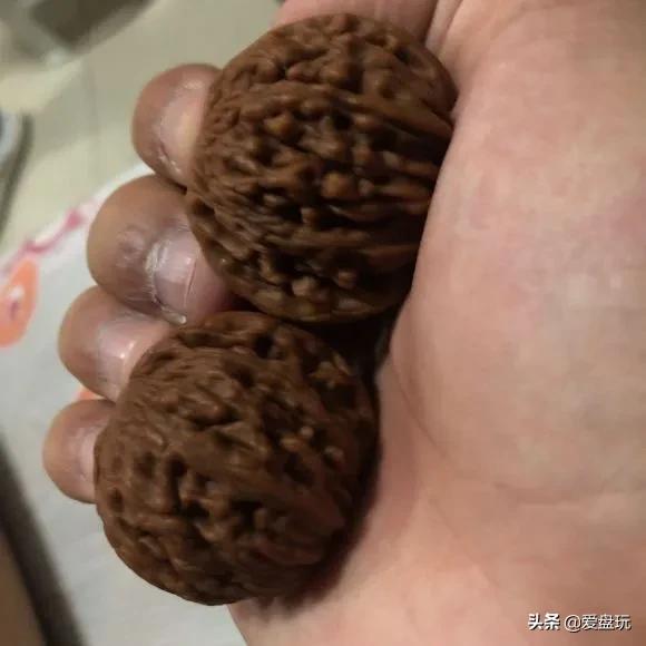 金刚菩提上完橄榄油以后怎么办,金刚菩提下完水发白了