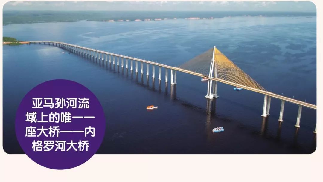 为什么人们不敢在亚马逊河游泳,亚马逊河多可怕没有一座桥