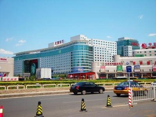 公主坟现状,公主坟来历