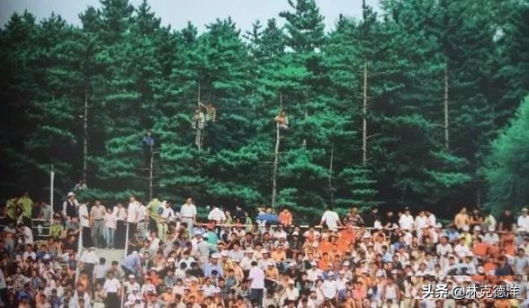 延边对权健,延边对泰达