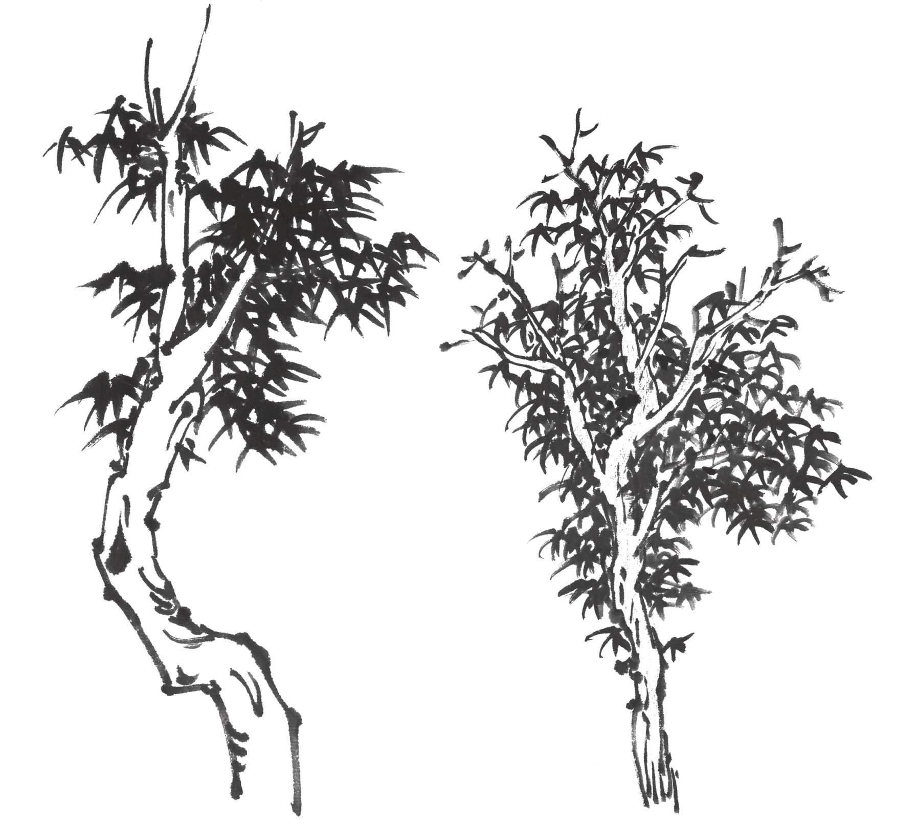 国画雪景树的画法技巧步骤,国画杂树与山石的画法图片