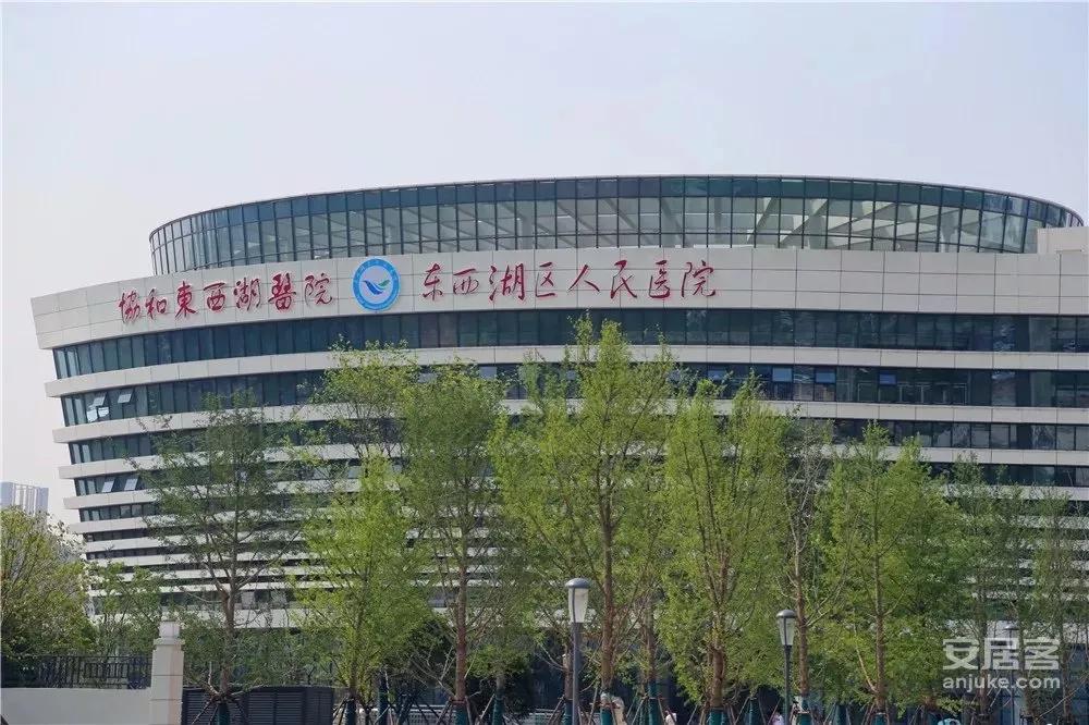 东西湖双地铁最好的楼盘,双地铁口刚需盘