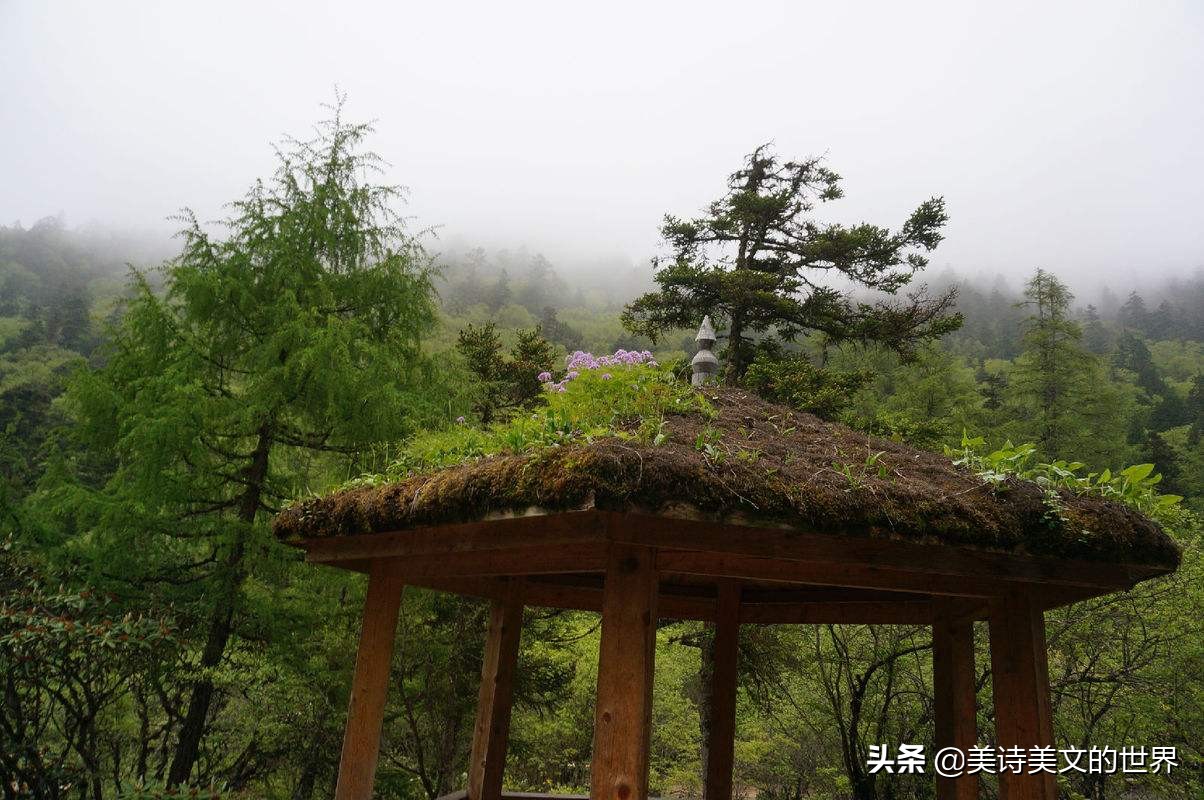 白居易最著名的十首绝句诗词,白居易千古绝句最美的十首诗