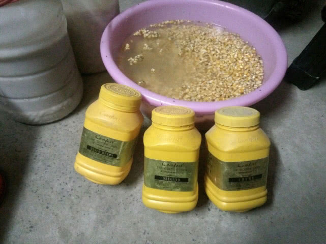 大草鱼钓不到怎么办,大草鱼难钓