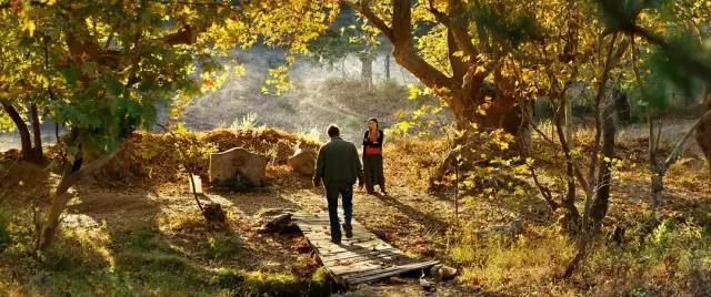 导演拒绝删减任何镜头!片长3小时,生生扯下了理想主义的遮羞布