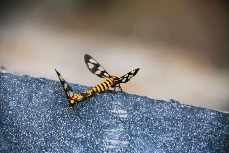 尼康入门单反,单反快速入门攻略