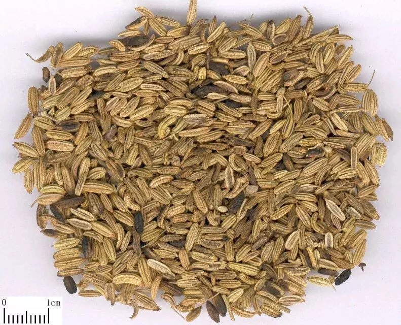 各种香料的属性与搭配,各种香料调料的配方共十八种