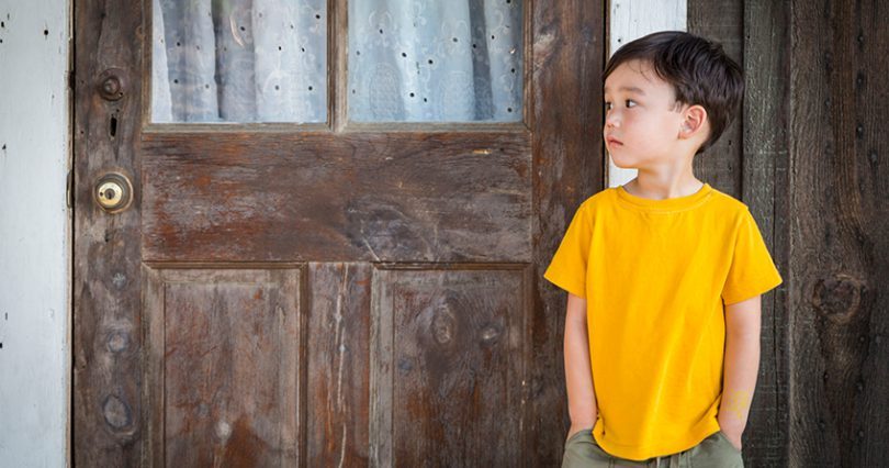儿童怎么清洁鸟,怎么帮幼鸟清洁