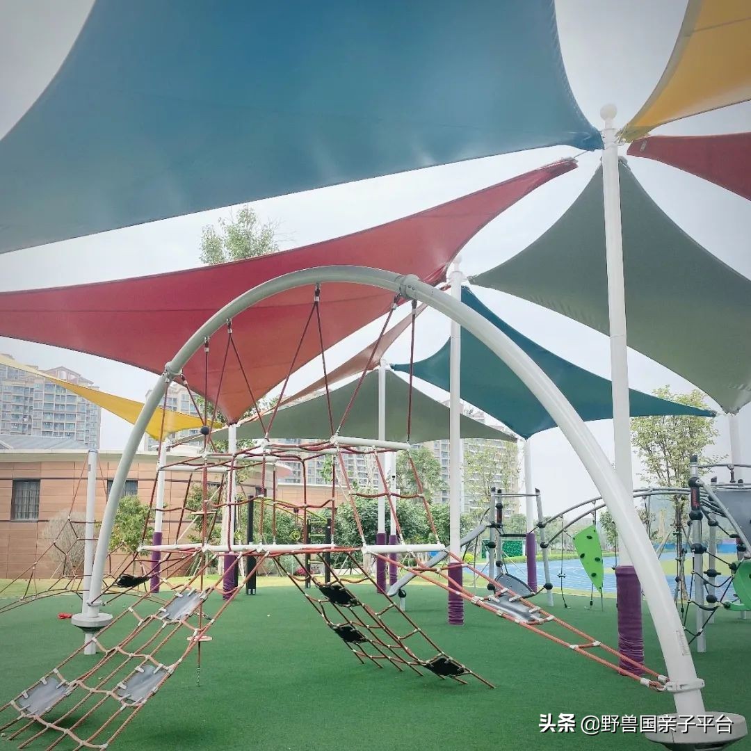 一年20万学费的清澜山学校,都在学些什么?