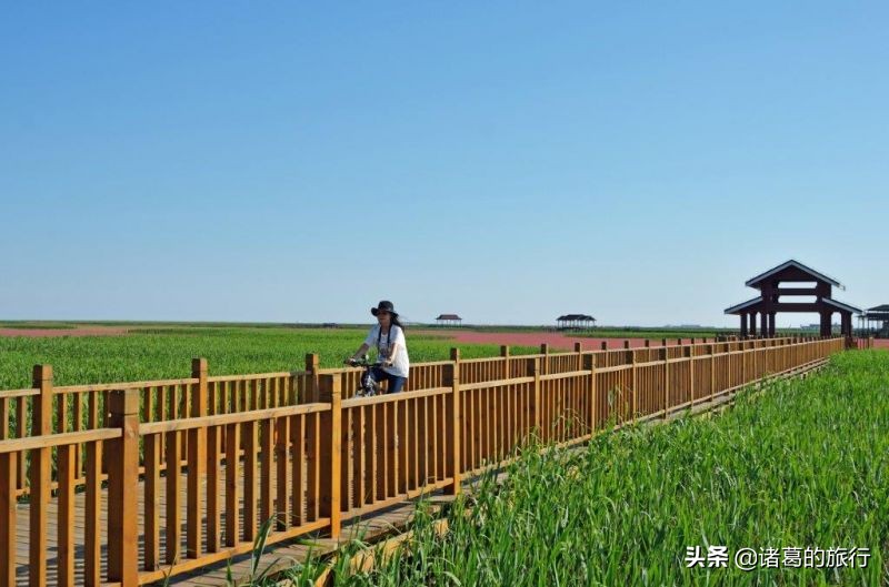 盘锦红色海滩美景,这个秋天一定要去海边看看