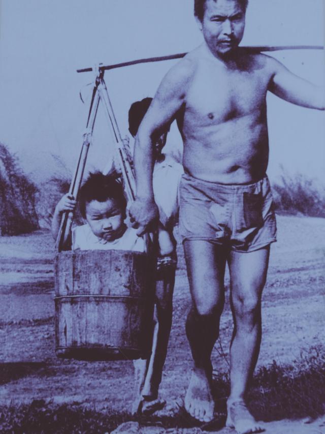 福鼎旅游数据,福鼎纪录片